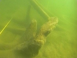 Naturligt krumvuxna spant nära fören. Foto: Harry Alopaeus.